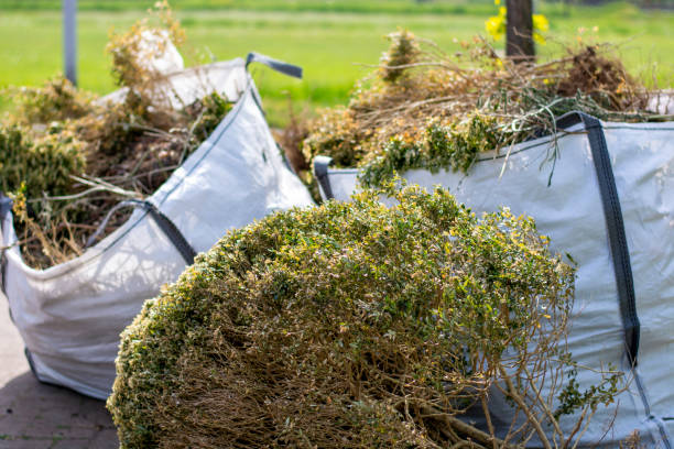 Best Same-Day Junk Removal  in Edcouch, TX